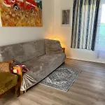 Vila Opocno Opočno