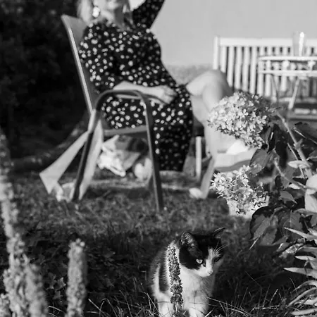 Vila Opocno Maison d'hôtes Opočno