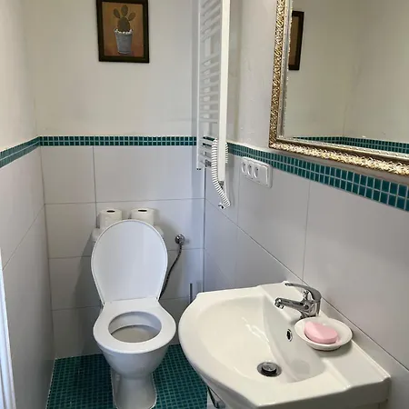 Vila Opocno *