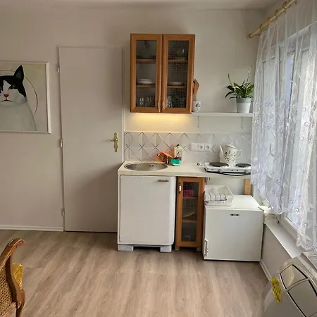 招待所 Vila Opocno Opočno