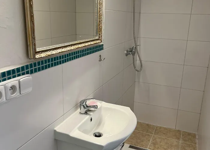 Vila Opocno بيت ضيافة Opočno