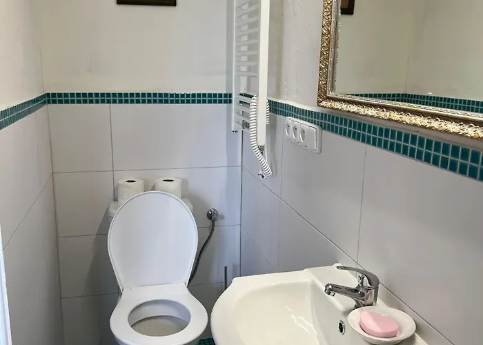 Vila Opocno *