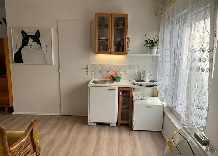 بيت ضيافة Vila Opocno Opočno